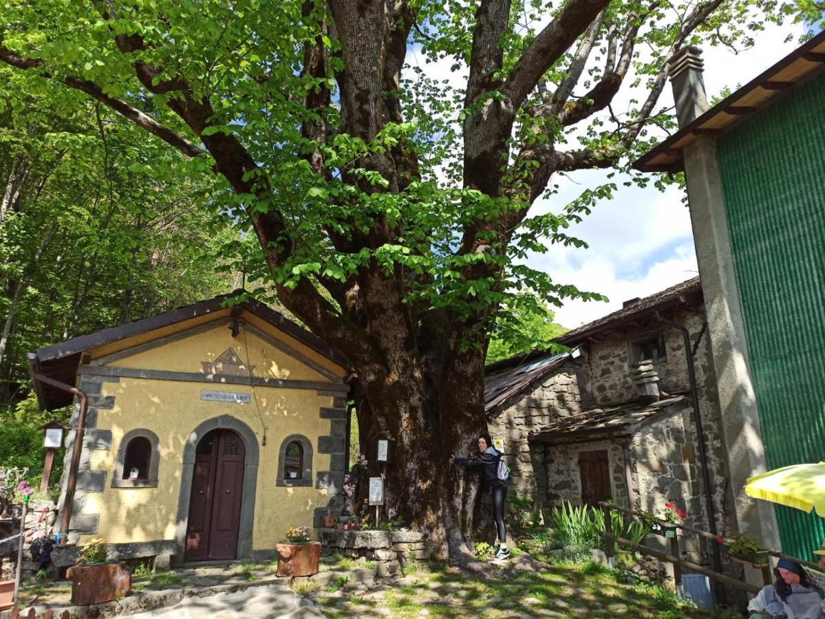 Residence Le Polle Riolunato Esterno foto